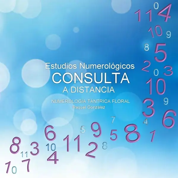 Consulta numerología