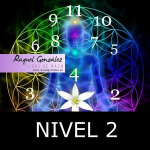 Curso de Numerología Tántrica Floral - Nivel 2