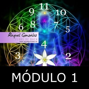 Módulo de especialización 1 – Numerología Kármica