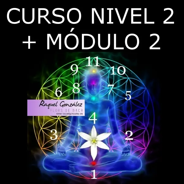 Pack Curso 2 de Flores de Bach y Numerología Tántrica + Módulo 2 de Numerología Predictiva